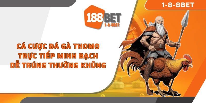 Cá cược đá gà Thomo trực tiếp minh bạch, dễ trúng thưởng khủng