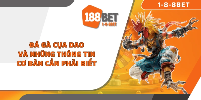 Đá gà cựa dao là gì và nguồn gốc phát triển