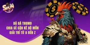 Đá Gà Thomo - Chia Sẻ Cặn Kẽ Bộ Môn Giải Trí Từ A Đến Z