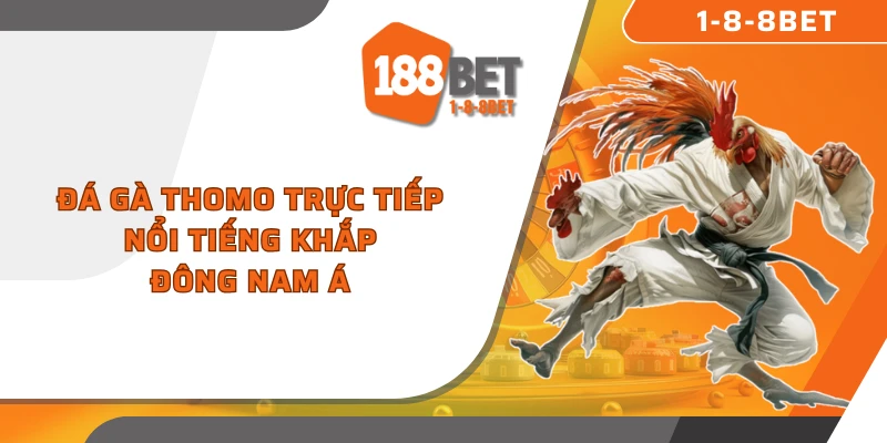Đá gà Thomo trực tiếp nổi tiếng khắp Đông Nam Á