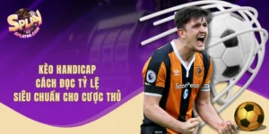 Kèo Handicap - Cách Đọc Tỷ Lệ Siêu Chuẩn Cho Cược Thủ