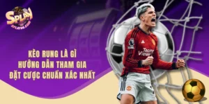 Kèo Rung Là Gì - Hướng Dẫn Tham Gia Đặt Cược Chuẩn Xác Nhất