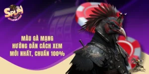 Màu Gà Mạng - Hướng Dẫn Cách Xem Mới Nhất, Chuẩn 100%