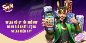 SPLAY Có Uy Tín Không? Đánh Giá Chất Lượng SPLAY Hiện Nay