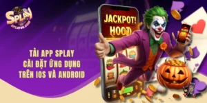 Tải App SPLAY - Cài Đặt Ứng Dụng Trên iOS Và Android