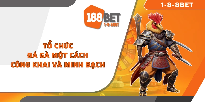 Tổ chức đá gà một cách công khai và minh bạch