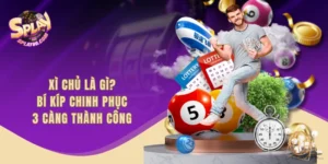 Xì Chủ Là Gì? Bí Kíp Chinh Phục 3 Càng Thành Công