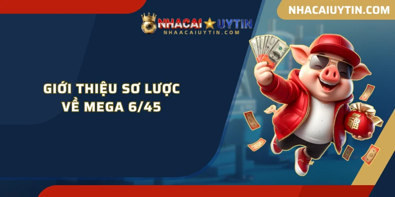 Giới thiệu sơ lược về Mega 6/45
